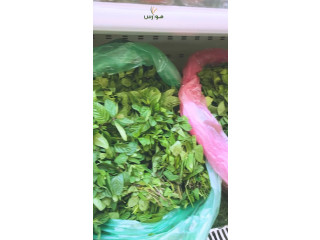 سوق المزارعين موارس