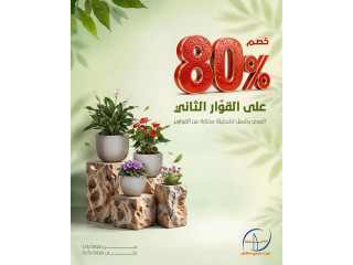 80% Discount on Selected Plants