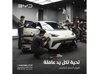 BYD Dolphin Super