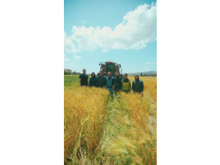 Harvesting Equipment