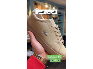 الحذاء
