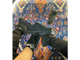 الحذاء