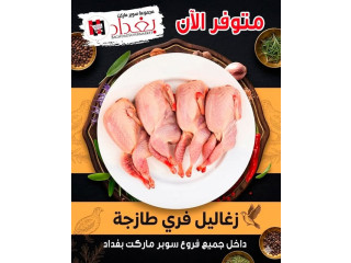 زغاليل فري طازجة