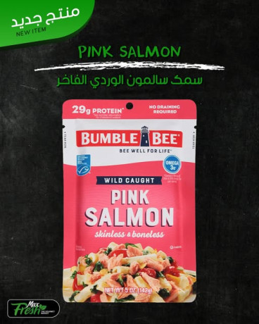 smk-salmon-alordy-alfakhr-big-0