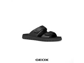 Geox Shoes