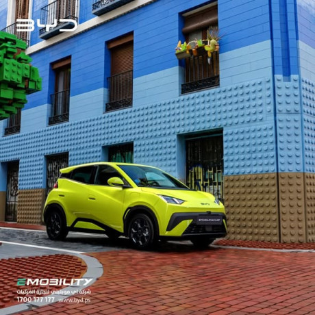 syar-byd-dolphin-surf-big-0