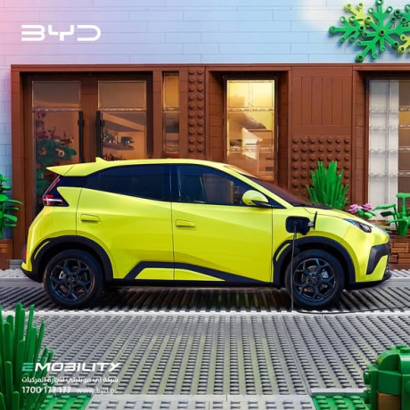 syar-byd-dolphin-surf-big-3