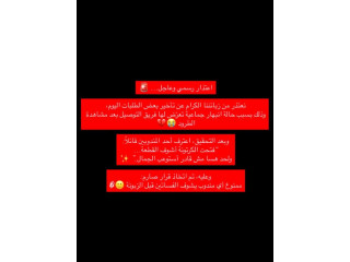 فستان الفراشات