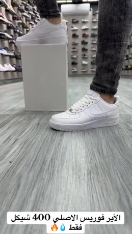 alayr-forys-alabyd-sadh-alasly-fkt-ld-alkthyfy-big-0