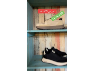 الحذاء