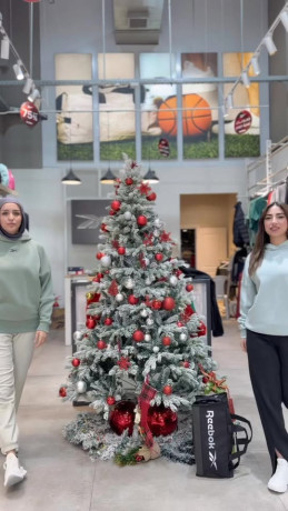 khyarat-aasry-taaks-aslobk-alryady-maa-rybok-big-0