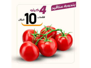 عروض الطازج ليوم الاثنين 5/11
