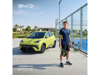 BYD Dolphin Surf