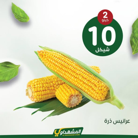 hmlatna-oaarodna-koy-odafy-big-2