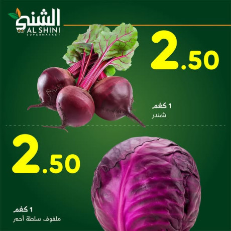 aoakhr-kanon-altofyr-mdmon-big-4