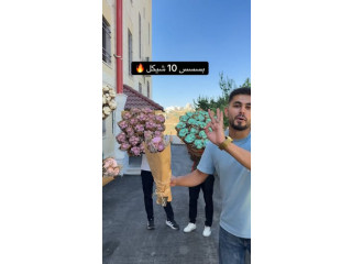 بسيط 10 شيكل