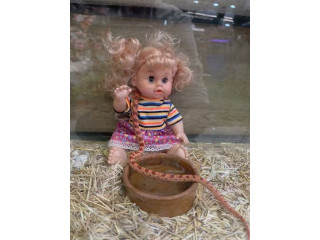 Doll with Accessories