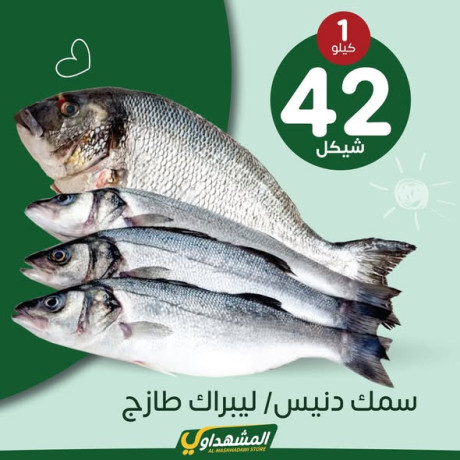 hmlatna-oaarodna-koy-odafy-big-1