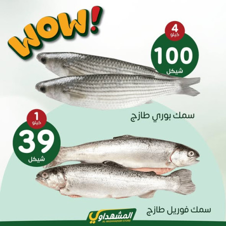 hmlatna-oaarodna-koy-odafy-big-3