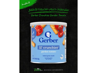 Gerber Crunchies Baked Grain Snacks for Children