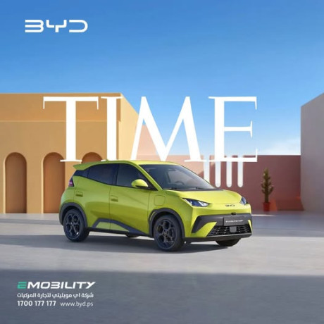 byd-dolphin-surf-big-0