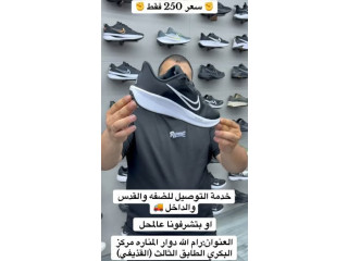 ترندات