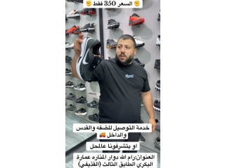ترندات