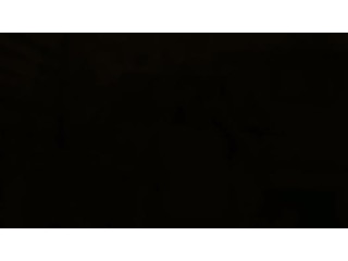 Other services