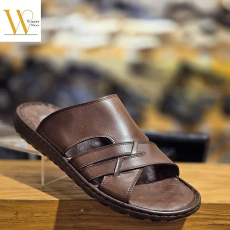 mn-antag-winners-gld-asly-o-koalb-tby-big-2