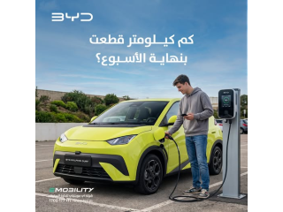 BYD Dolphin Surf