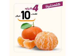 عروض الطازج ليوم الاربعاء 12/31