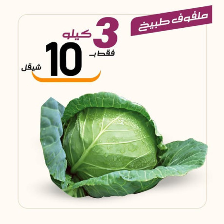 aarod-altazg-lyom-alarbaaaaa-1231-big-2