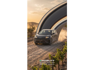 Electric Car by BYD