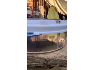 مصيدة ذباب وحشرات احترافية