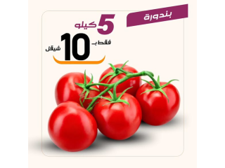 عروض مميزة ليوم الاثنين 8/3