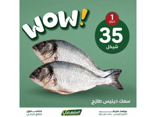 سمك دينيس طازج