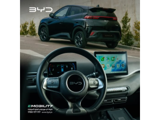 BYD DOLPHIN SURF