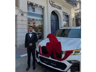 Luxury Wedding Car