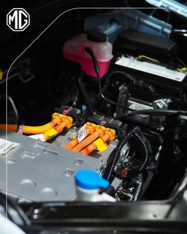 alsyan-almaatmd-mn-am-gy-big-0