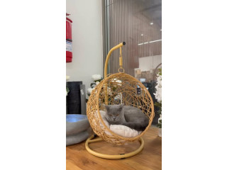Cat Hanging Bed