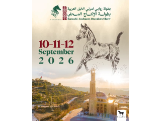 بطولة روابي لمربّي الخيل العربية