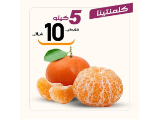 عروض الطازج ليوم الخميس 1/1