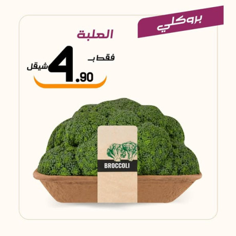 aarod-altazg-lyom-alkhmys-11-big-3