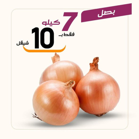 aarod-altazg-lyom-alkhmys-11-big-1