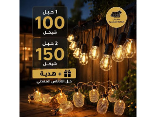 حبل إضاءة ديكور LED خارجي 20 متر 20 لمبة