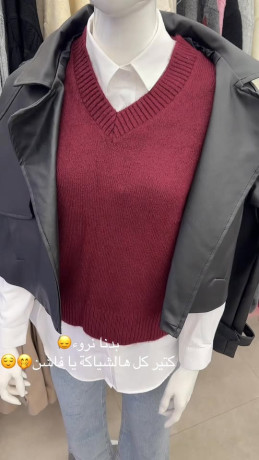 tshkyl-shtaaa-2025-2026-big-0