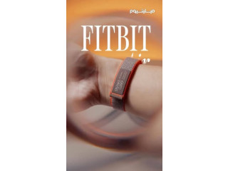 Google Fitbit Air