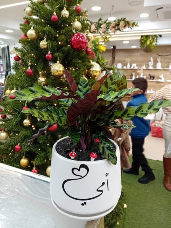 mtloooob-thlath-amhat-khlal-90dkyk-big-1