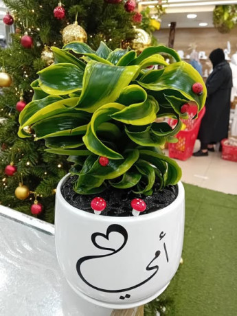 mtloooob-thlath-amhat-khlal-90dkyk-big-0