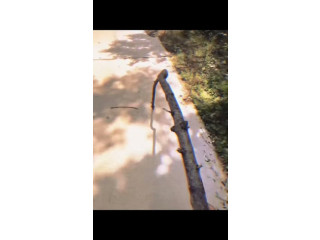 ايام الزمن الجميل....